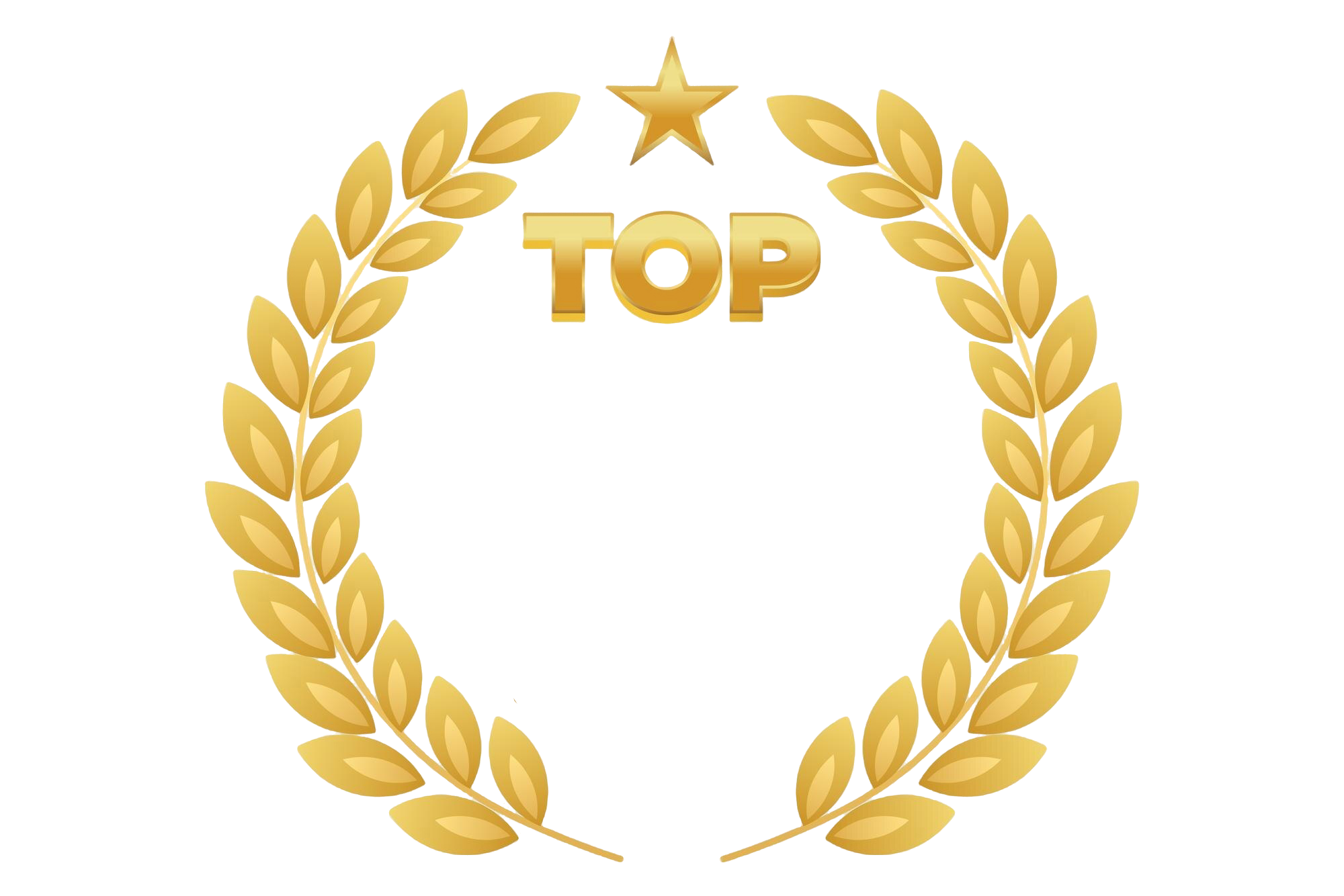 Excellence Award